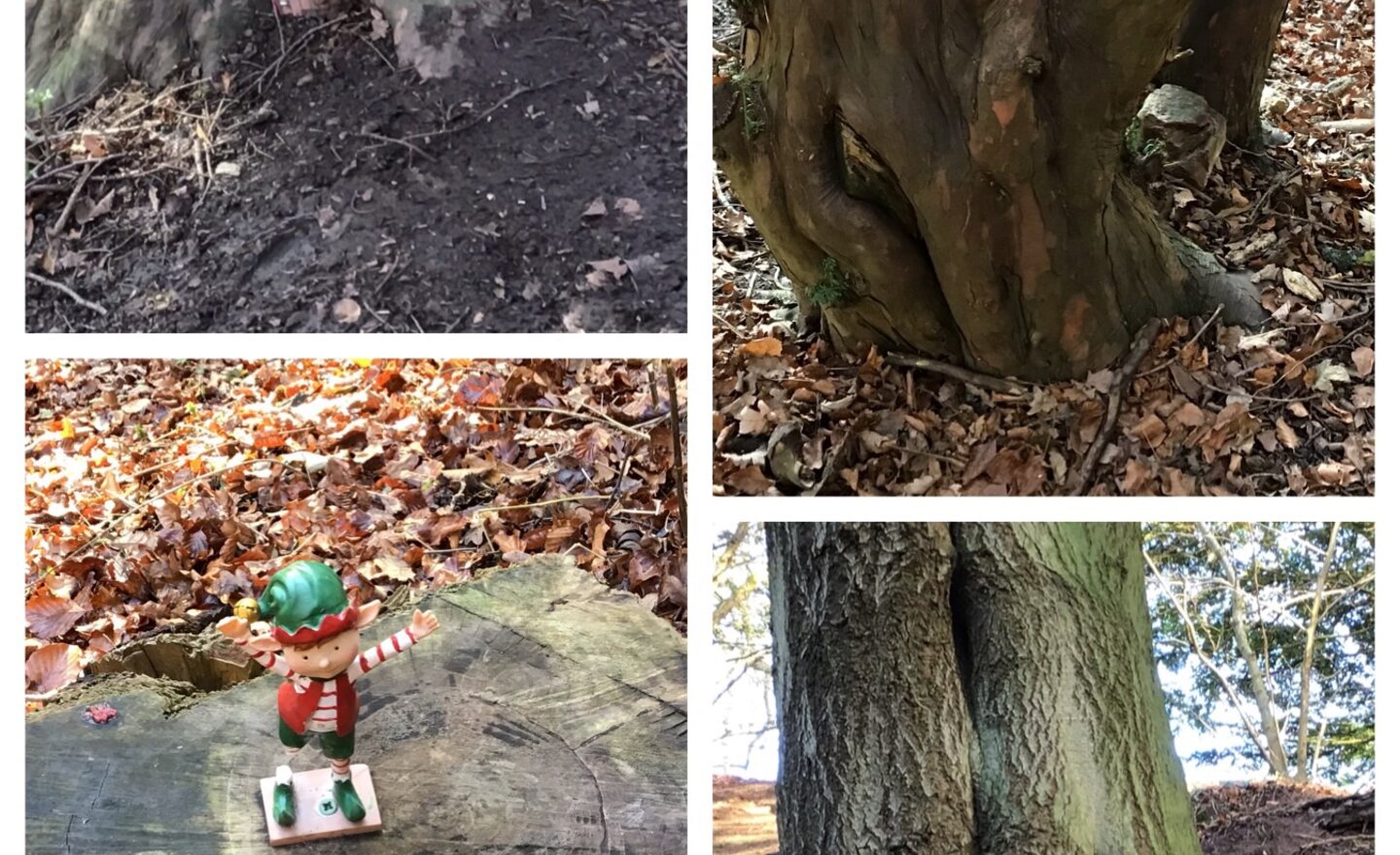 Image of Our Christmas Trip to the Elf Trail